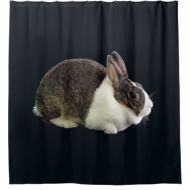 Brown and White Dutch Rabbit (Front)