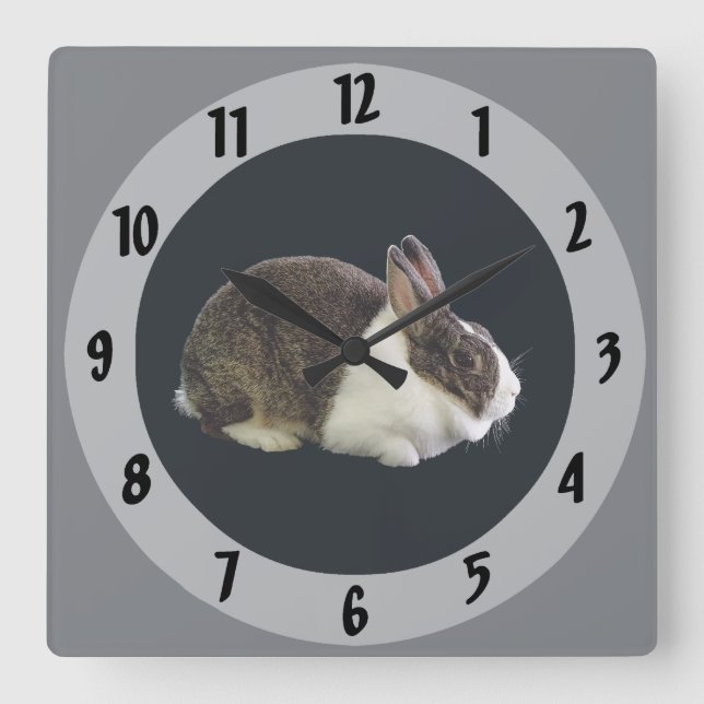 Brown and White Dutch Rabbit Square Wall Clock (Front)