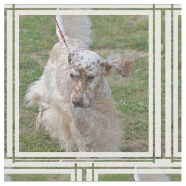Brown and White English Setter Fabric (Close Up)