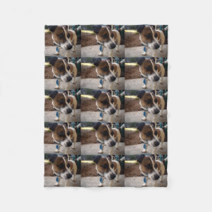 Brown And White Fox Miniature Terrier, Fleece Blanket