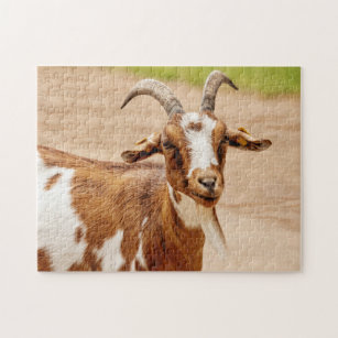 Brown and White Goat Jigsaw Puzzle
