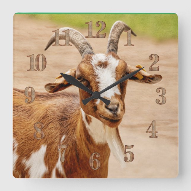 Brown and White Goat Square Wall Clock (Front)