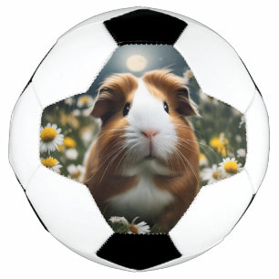 Brown And White Guinea Pig Moon And Daisies, Soccer Ball