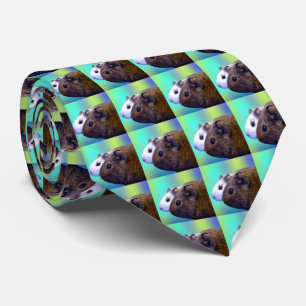 Brown And White Guinea Pigs, Neck Tie
