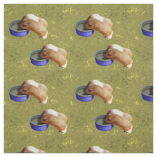 Brown And White Guinea Pigs On Gold, Fabric