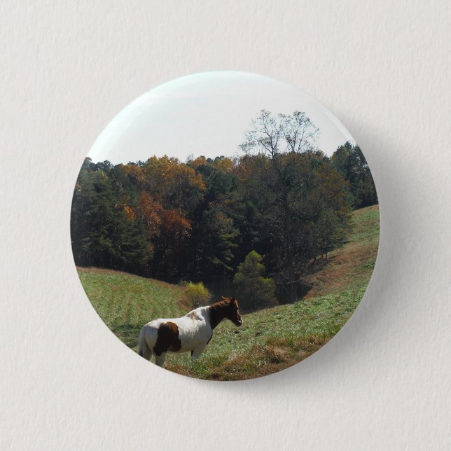 Brown and white horse at autumn pond 2 inch round button (Front)