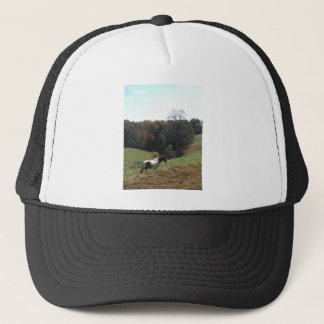Brown and white horse at autumn pond trucker hat