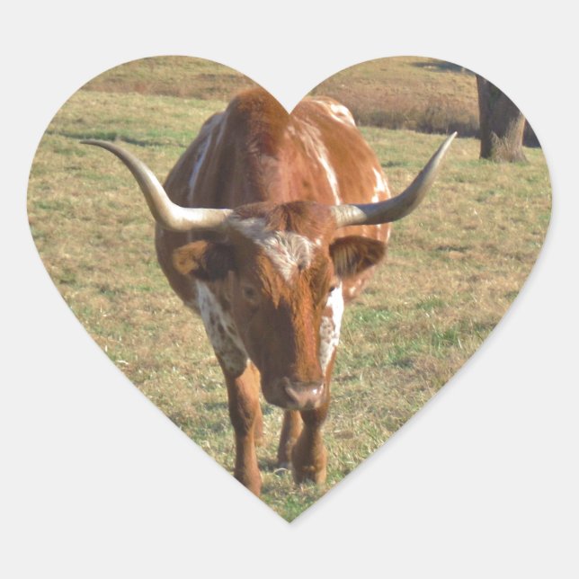 Brown and White Longhorn Bull Blue Sky Heart Sticker (Front)
