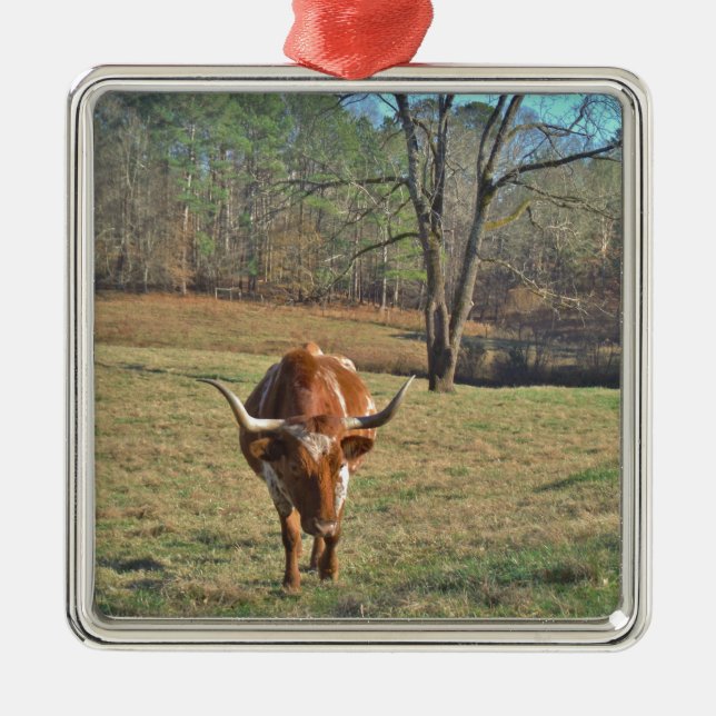 Brown and White Longhorn Bull Blue Sky Metal Ornament (Front)