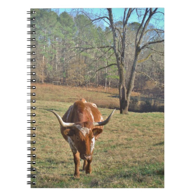 Brown and White Longhorn Bull Blue Sky Notebook (Front)