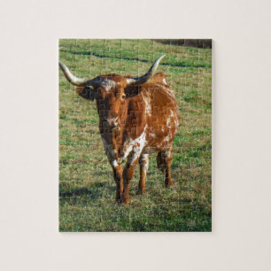Brown and White Longhorn Bull Jigsaw Puzzle