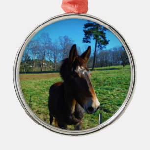 Brown and white mule metal ornament