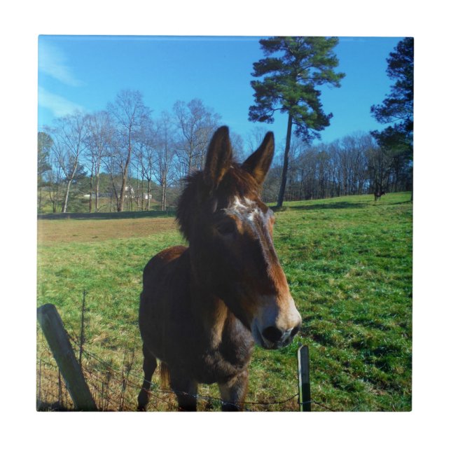 Brown and white mule tile (Front)