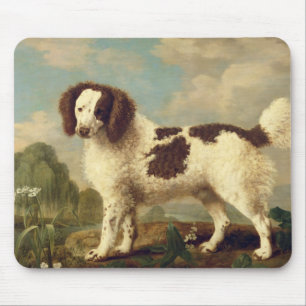 Brown and White Norfolk or Water Spaniel, 1778 (oi Mouse Pad