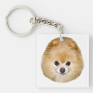 Brown and White Pomeranian Dog Keychain