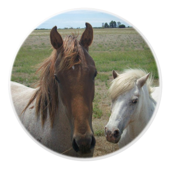 Brown And White Ponies, Ceramic Knob (Front)