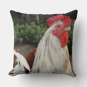 Brown And White Proud Rooster, Big Throw Cushion. Pillow