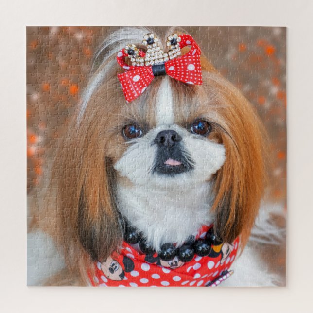 Brown and White Shih Tzu Puppy Dog Jigsaw Puzzle (Vertical)