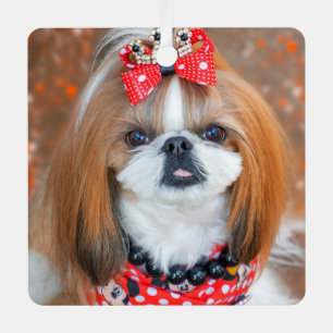 Brown and White Shih Tzu Puppy Dog Metal Ornament