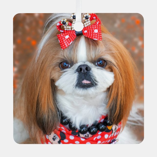 Brown and White Shih Tzu Puppy Dog Metal Ornament (Front)