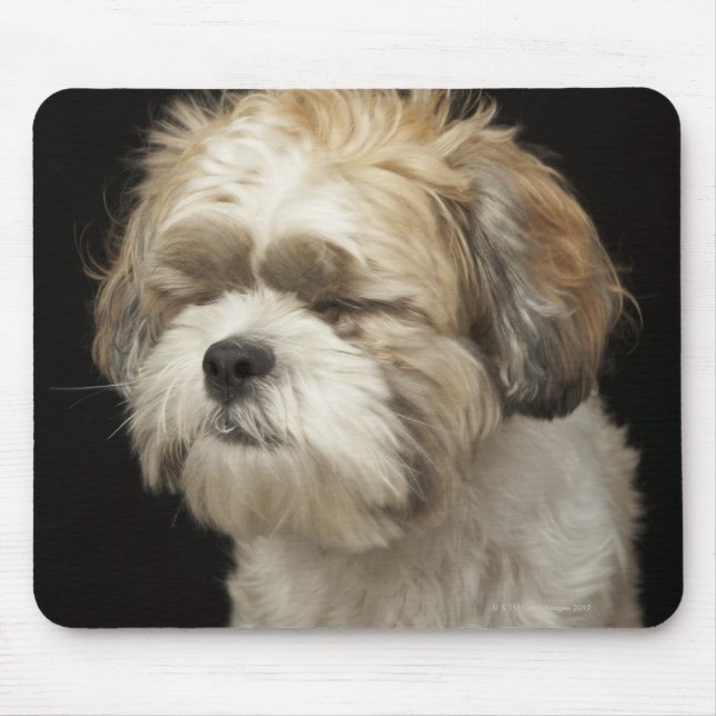 Brown and white Shih Tzu with eyes closed Mouse Pad (Front)