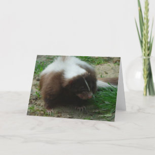 Brown and White Skunk Greeting Card