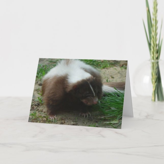 Brown and White Skunk Greeting Card (Front)