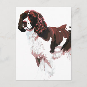 Brown and white Springer Spaniel card