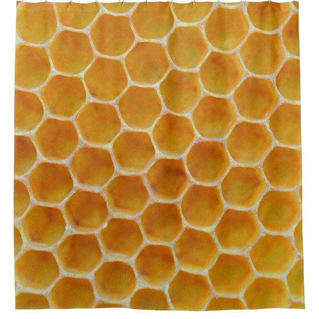 Brown and white square pattern (Front)