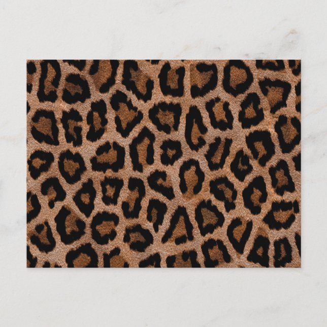 Brown animal print pattern postcard (Front)
