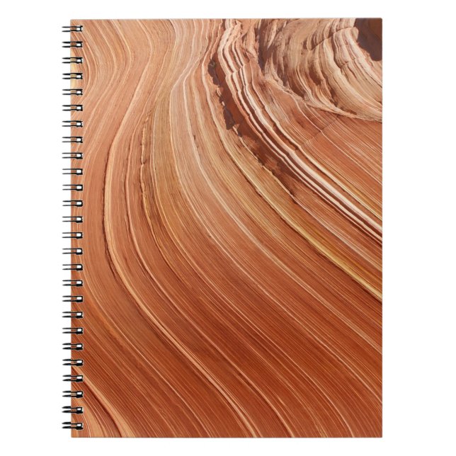 Brown antelope notebook (Front)