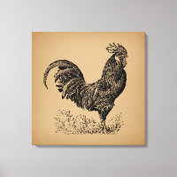 Brown Antique Rooster Illustration Chicken Art