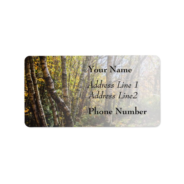Brown Autumn Forest Landscape, Birch Trees Label (Front)