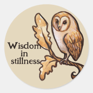 Brown Barn Owl Classic Round Sticker