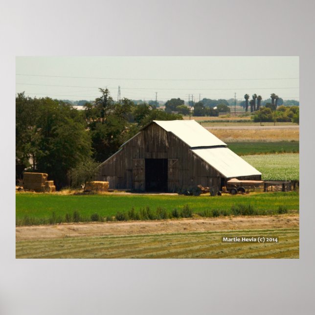 Brown Barn Poster (Front)