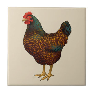 Brown Barnevelder Hen Chicken Tile
