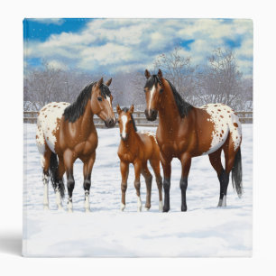 Brown Bay Appaloosa Horses In Snow Binder