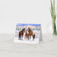Brown Bay Appaloosa Horses In Snow