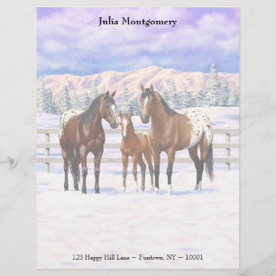 Brown Bay Appaloosa Horses In Snow Letterhead