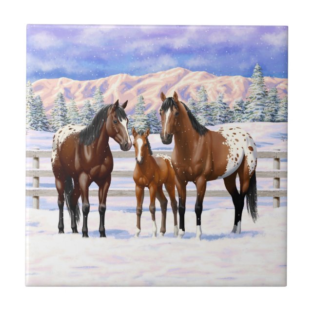 Brown Bay Appaloosa Horses In Snow Tile (Front)