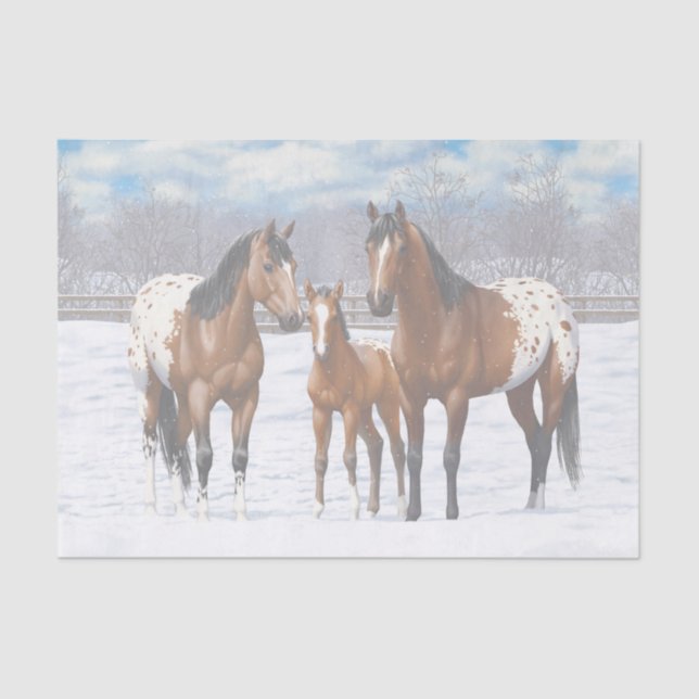 Brown Bay Appaloosa Horses In Snow Tissue Paper (Front)