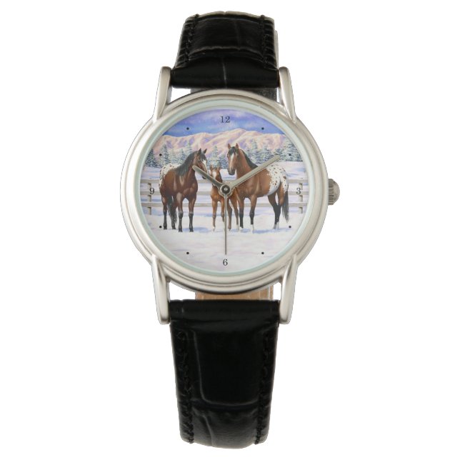 Brown Bay Appaloosa Horses In Snow Watch (Front)