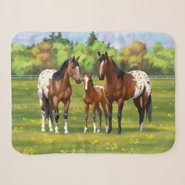 Brown Bay Appaloosa Horses In Summer Pasture Sherpa Blanket (Front (Horizontal))