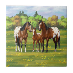 Brown Bay Appaloosa Horses In Summer Pasture Tile