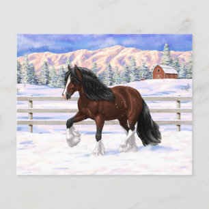 Brown Bay Gypsy Vanner Draught Horse In Snow