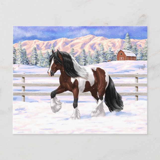 Brown Bay Pinto Gypsy Vanner Draught Horse In Snow (Front)