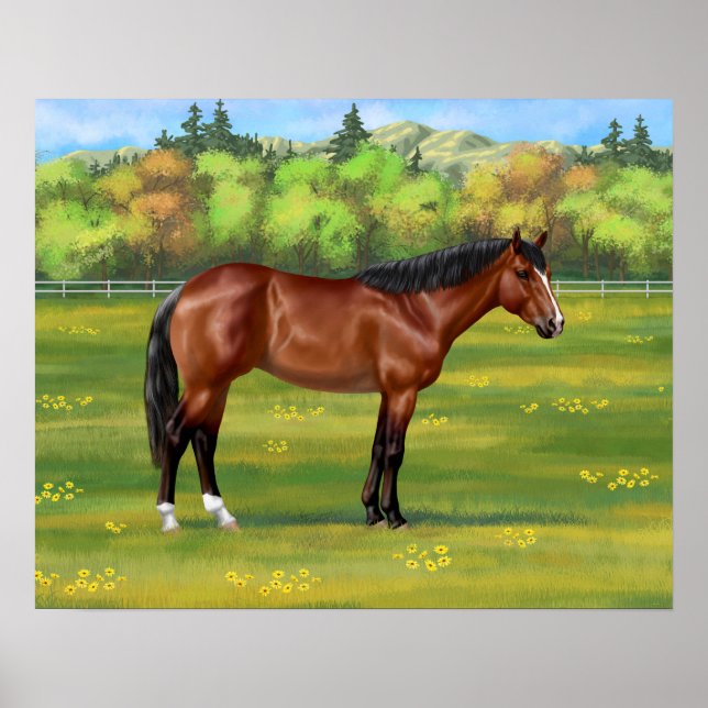 Brown Bay Quarter Horse Poster (Front)