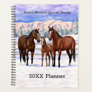 Brown Bay Quarter Horses In Snow Planner