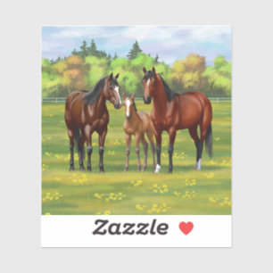 Brown Bay Quarter Horses In Summer Pasture