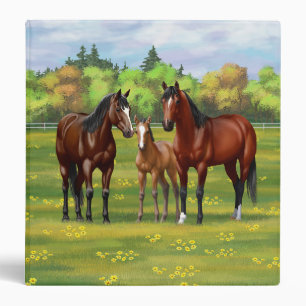 Brown Bay Quarter Horses In Summer Pasture Binder